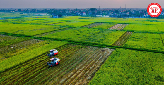 Diện tích tối thiểu tách thửa đối với đất phi nông nghiệp không phải đất ở tại Kon Tum từ 09/11/2024