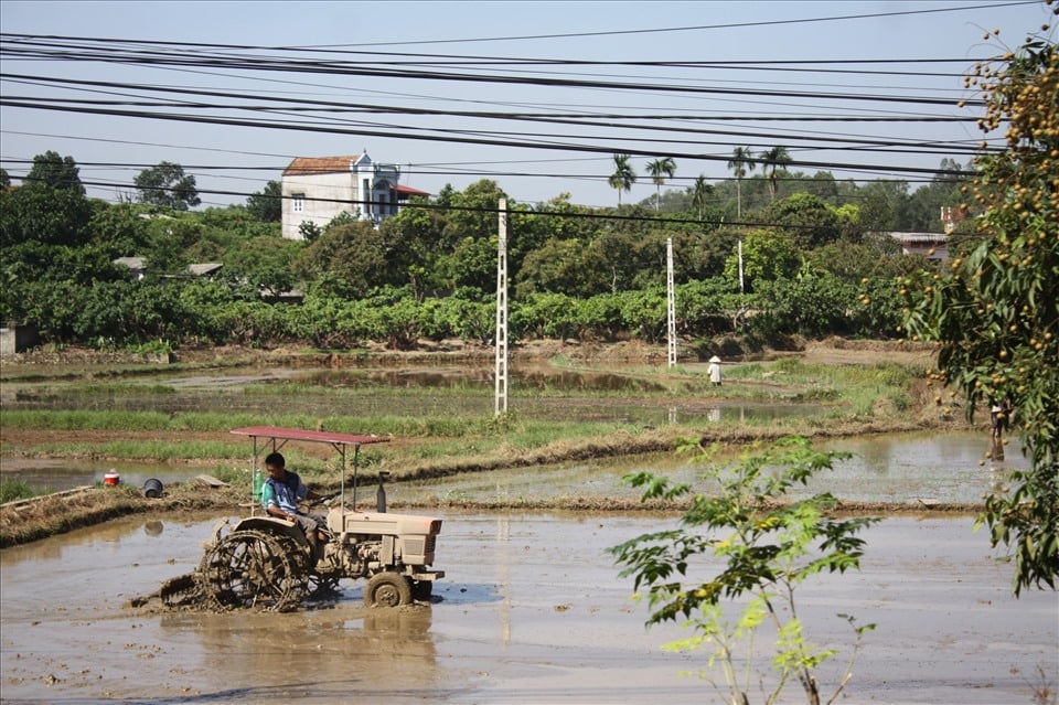 Thông báo thu hồi đất có phải là đối tượng khởi kiện vụ án hành chính không?