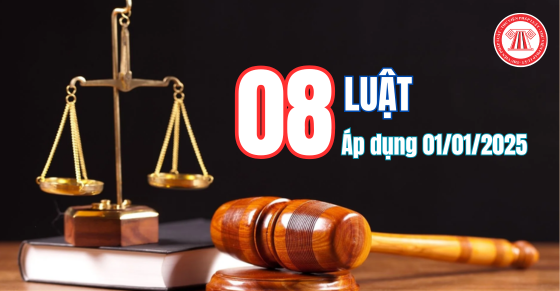 08 Luật mới có hiệu lực áp dụng từ ngày 01/01/2025 