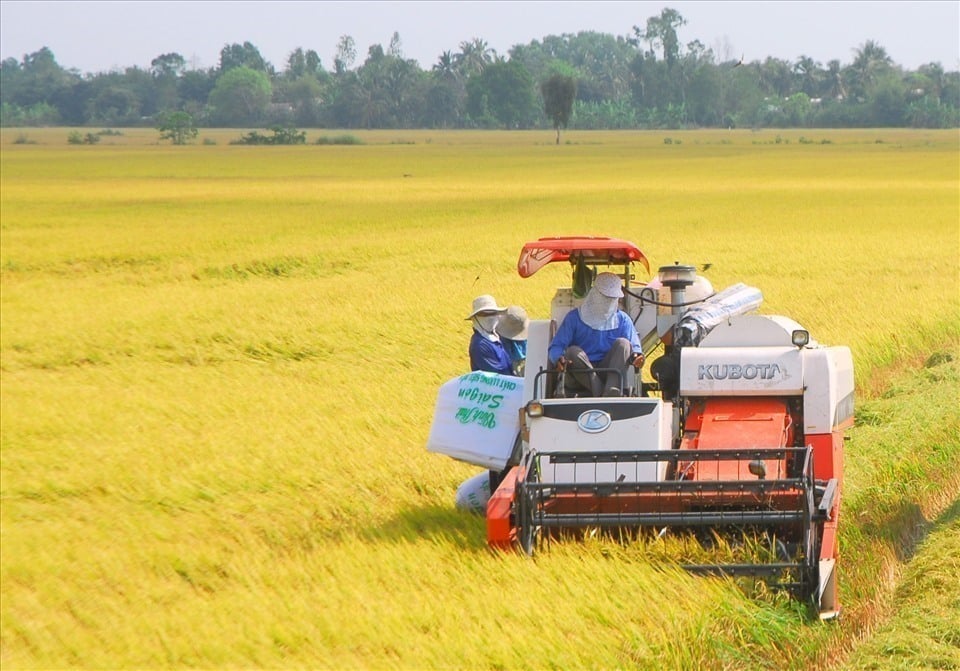 Mức hỗ trợ đào tạo, chuyển đổi nghề với người có đất nông nghiệp, đất ở kết hợp kinh doanh dịch vụ bị thu hồi tại Long An