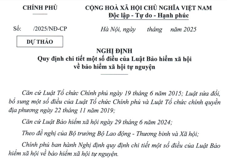 Đã có dự thảo Nghị định quy định về bảo hiểm xã hội tự nguyện từ 01/7/2025