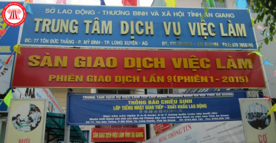 Cơ cấu tổ chức của Trung tâm Quốc gia về Dịch vụ việc làm mới nhất
