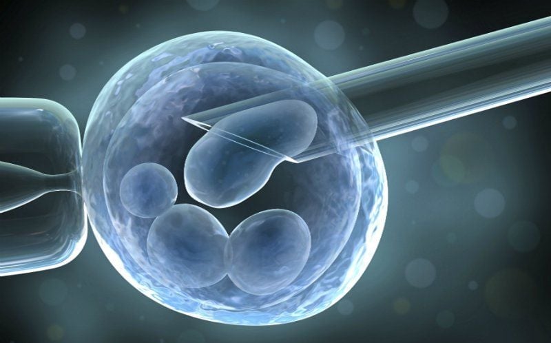 Thụ tinh trong ống nghiệm IVF là gì? Quy trình thụ tinh trong ống nghiệm IVF.