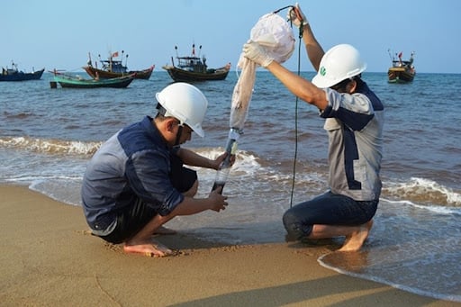 Quy định công tác điều tra, khảo sát môi trường biển 