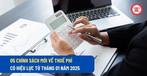 05 chính sách mới về thuế phí có hiệu lực từ tháng 01 năm 2025