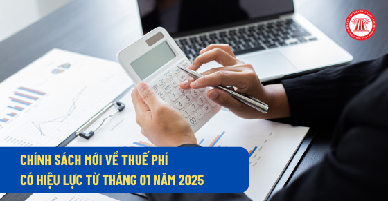 06 chính sách mới về thuế phí có hiệu lực từ tháng 01 năm 2025