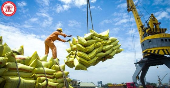 Bổ sung thêm trường hợp bị thu hồi Giấy chứng nhận đủ điều kiện kinh doanh xuất khẩu gạo từ 01/03/2025