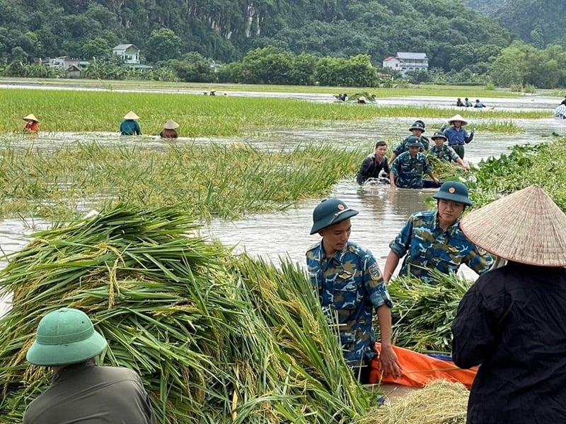 Tổng hợp các mẫu về hỗ trợ sản xuất nông nghiệp để khôi phục vùng bị thiệt hại do thiên tai, dịch hại 