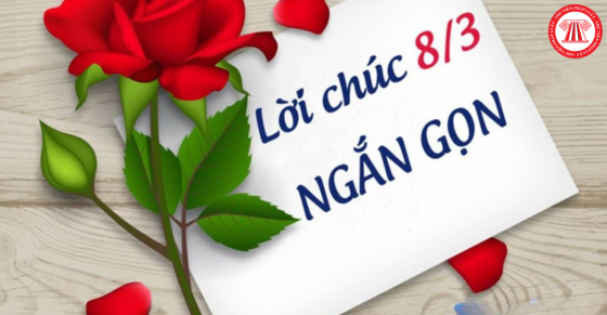 Hướng dẫn viết lời chúc đi kèm quà 8/3 ngắn gọn, ý nghĩa nhất 