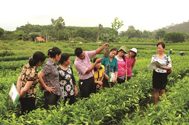 Sẽ có 50.000 nông dân sản xuất kinh doanh giỏi xuất sắc mỗi năm