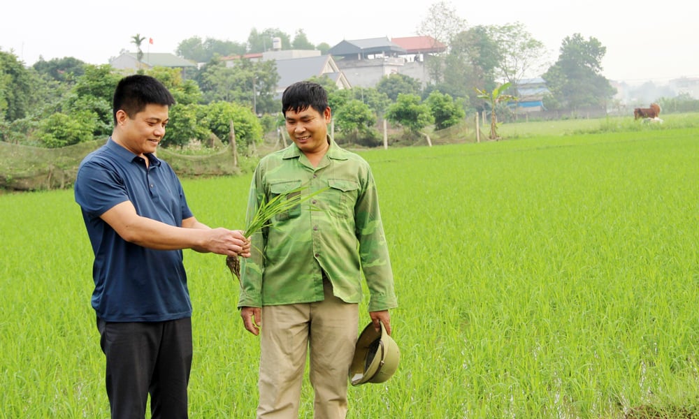 Từ 01/7/2025 cán bộ không chuyên trách thôn tổ dân phố được tham gia BHXH bắt buộc