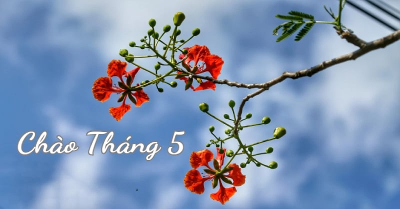 Tổng hợp các ngày lễ và sự kiện trong tháng 5