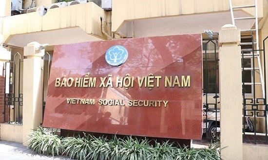 Tổ chức lại 35 Bảo hiểm xã hội khu vực thành 34 Bảo hiểm xã hội tỉnh, thành phố
