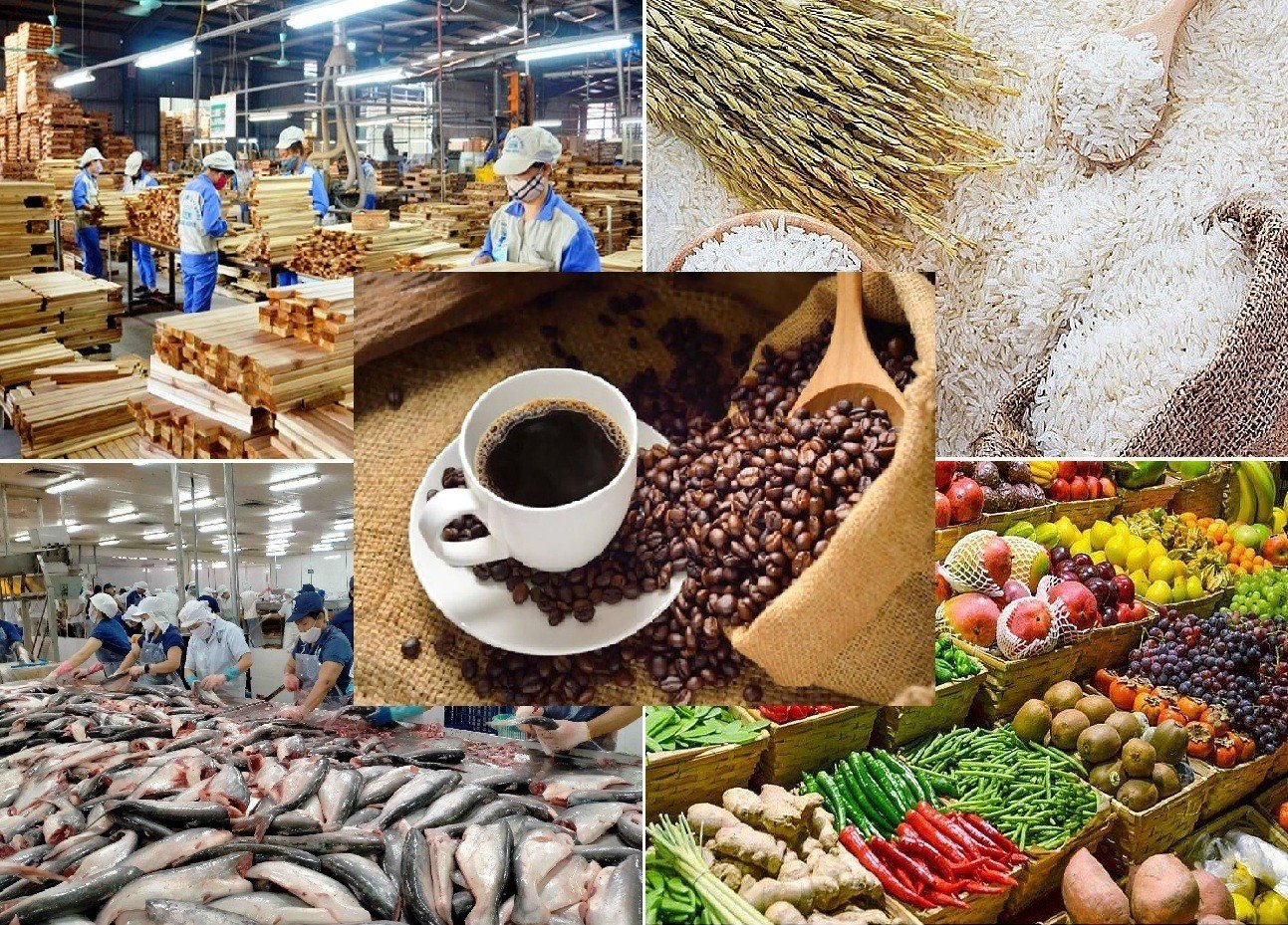Công điện của Thủ tướng về tiêu thụ và xuất khẩu nông lâm thủy sản trước biến động thương mại toàn cầu