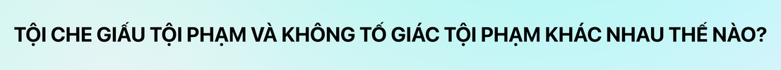Tội che giấu tội phạm và không tố giác tội phạm khác nhau thế nào?