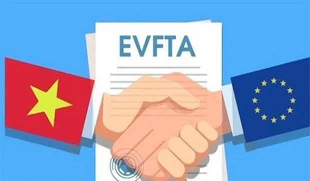 Quyết định 467: 5 bước toàn trình kiểm tra xác định xuất xứ trong trường hợp phải nộp chứng từ chứng nhận xuất xứ