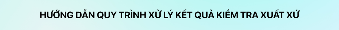 Hướng dẫn quy trình xử lý kết quả kiểm tra xuất xứ