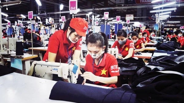 Doanh nghiệp nào được miễn thuế TNDN trong 2 năm đầu và giảm 50% thuế TNDN trong 4 năm tiếp theo?