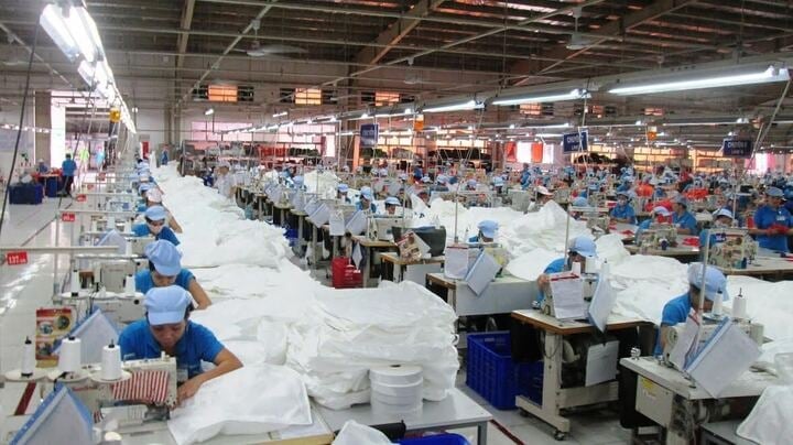 Miễn thuế với doanh nghiệp khởi nghiệp trong 2 năm đầu, 50% cho 4 năm tiếp theo (Hình ảnh từ Internet)