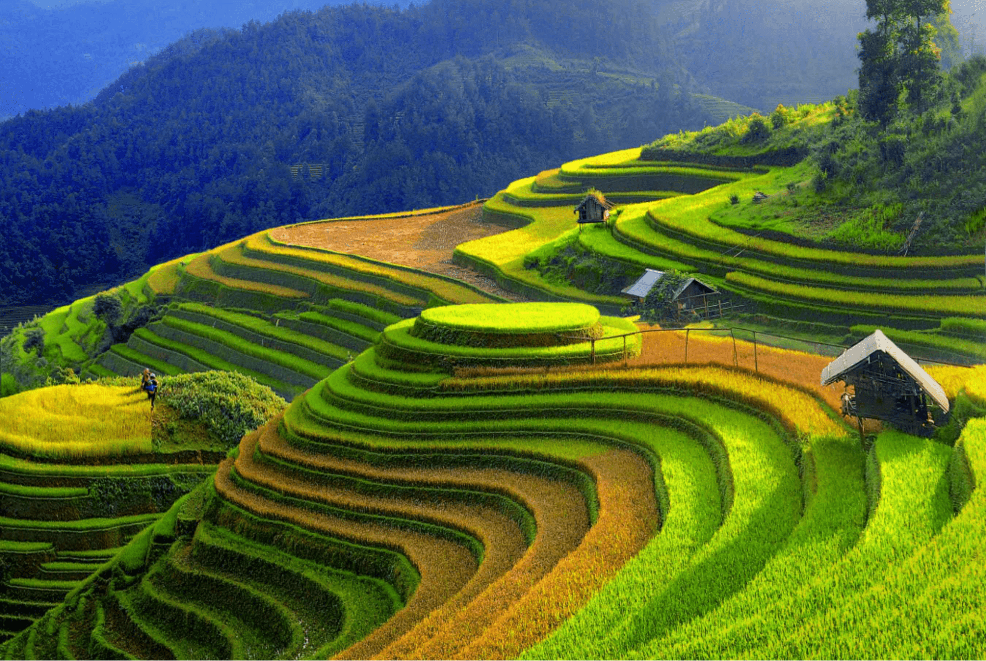 [Cập nhập] Bảng giá đất Yên Bái 2025, bảng giá đất Yên Bái mới nhất từ 19/5/2025 (Hình từ Internet)