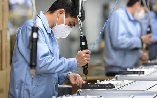 Dự kiến giảm 30% thời gian thủ tục hành chính của Quỹ Hỗ trợ việc làm ngoài nước