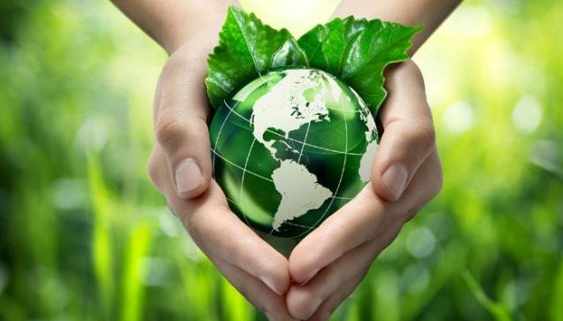 Thời gian bắt đầu Tháng hành động vì môi trường năm 2025