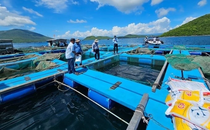 Thủ tục đăng ký kê khai số lượng chăn nuôi tập trung và nuôi trồng thủy sản tại UBND cấp xã 2025 
