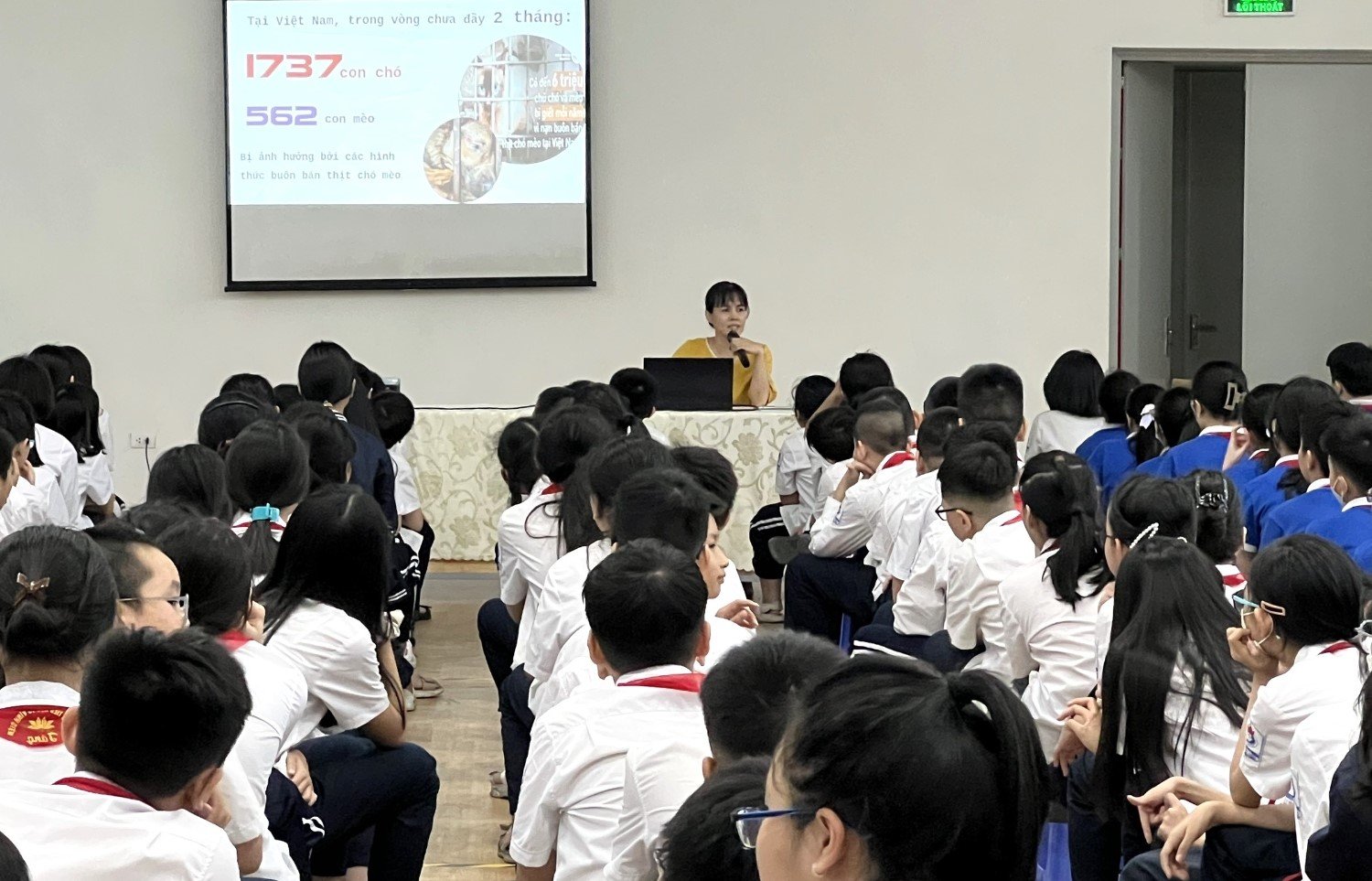Đề xuất các đối tượng và hình thức thông tin giáo dục truyền thông về phòng bệnh