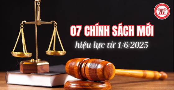 07 chính sách mới có hiệu lực từ 01/06/2025
