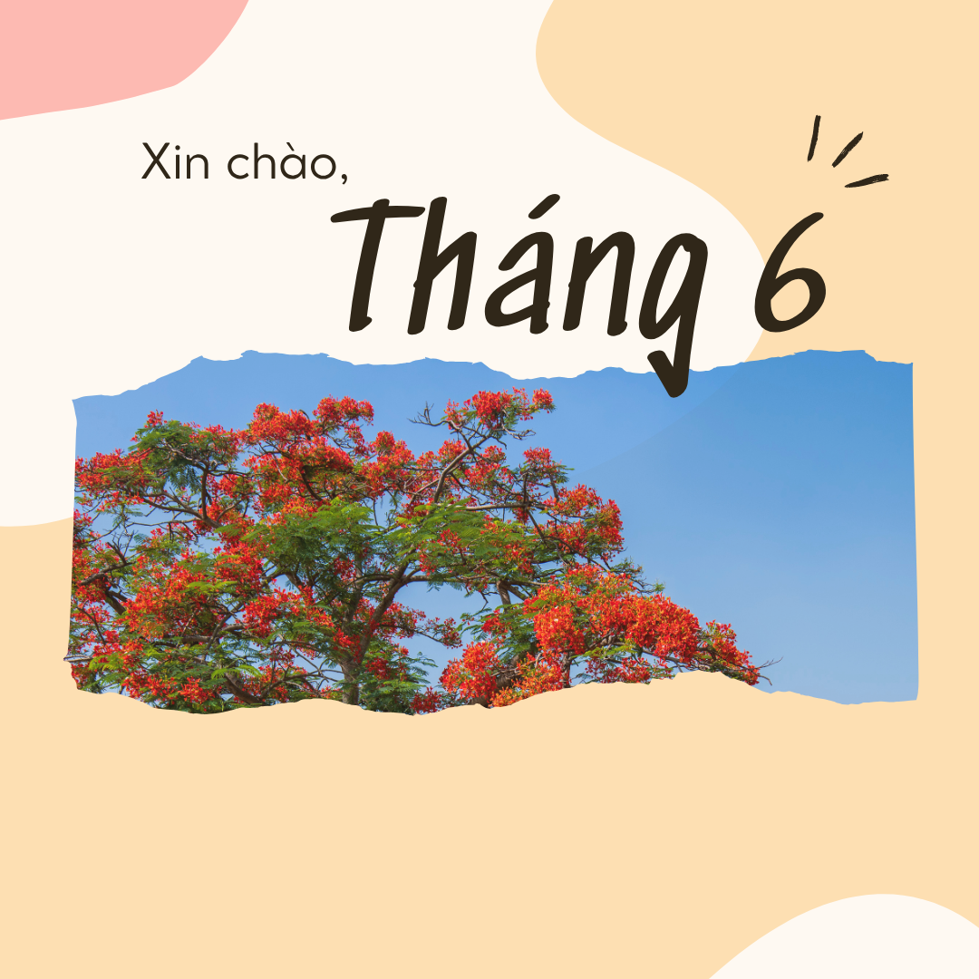 Tổng hợp các ngày lễ và sự kiện trong tháng 6