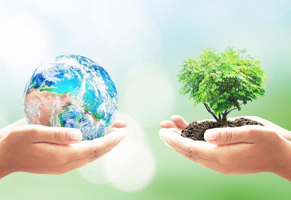 Các hoạt động hưởng ứng Ngày Môi trường thế giới và Tháng hành động vì môi trường năm 2025 của Bộ Văn hóa, Thể thao và Du lịch