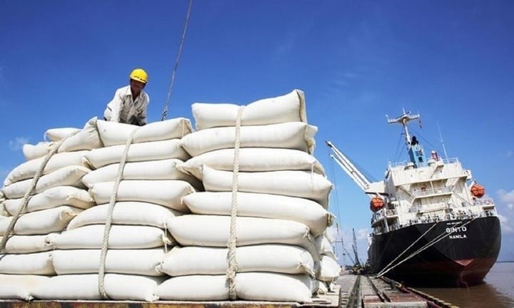Dự kiến Thêm trường hợp bị thu hồi Giấy chứng nhận đủ điều kiện kinh doanh xuất khẩu gạo