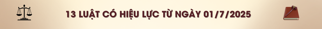 13 Luật có hiệu lực từ ngày 01/7/2025