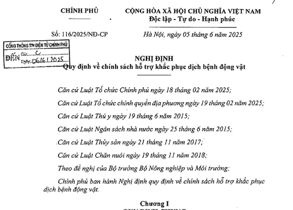 Đã có Nghị định 116 2025 về chính sách hỗ trợ khắc phục dịch bệnh động vật