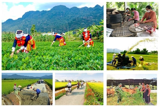 Nội dung tổng kết chương trình xây dựng nông thôn mới đoạn 2021 – 2025