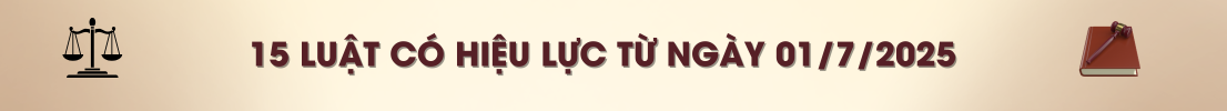 15 Luật có hiệu lực từ ngày 01/7/2025