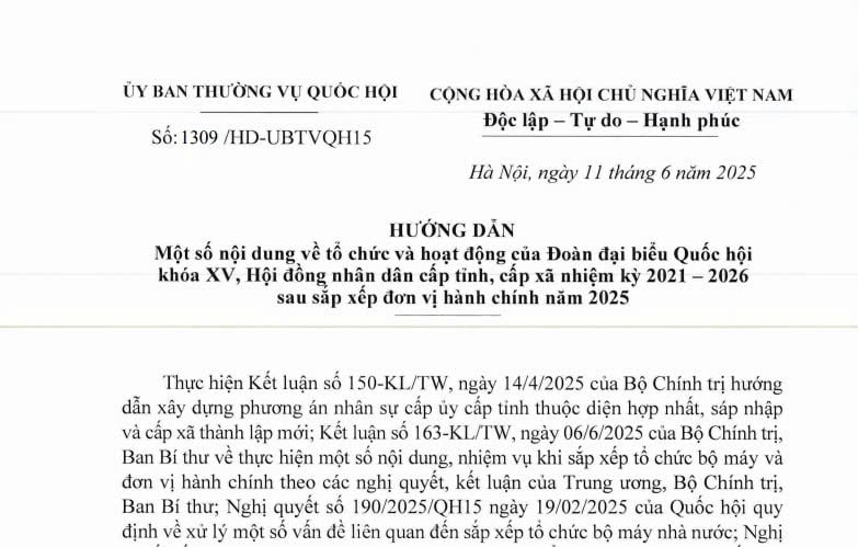 Đã có Hướng dẫn 1309 về tổ chức HĐND cấp tỉnh, cấp xã nhiệm kỳ 2021-2026 sau sắp xếp