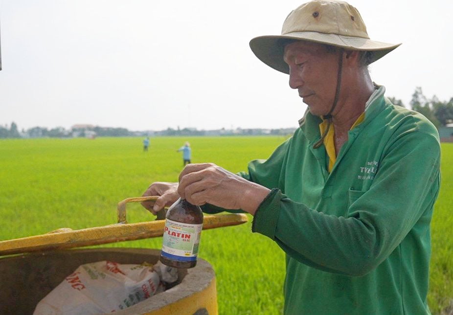 Ủy ban nhân dân cấp xã có trách nhiệm tổ chức thu gom, xử lý bao gói thuốc bảo vệ thực vật sau sử dụng từ ngày 01/7/2025 (hình ảnh từ Internet)
