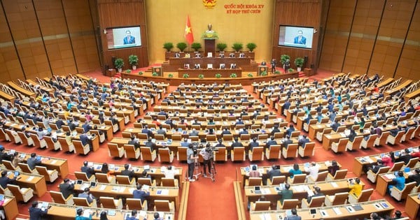 Không tổ chức chính quyền địa phương ở đặc khu trong một số trường hợp đặc thù (Hình ảnh từ Internet)