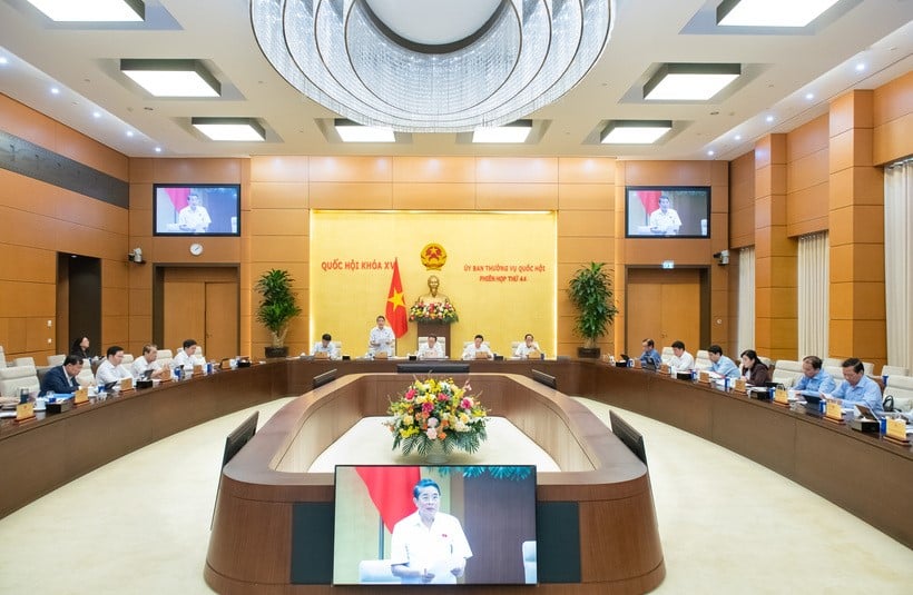 Các phương án phân phối lợi nhuận đối với tổ chức tín dụng do Nhà nước nắm giữ trên 50% đến dưới 100% vốn điều lệ