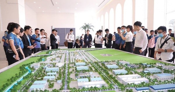 Thủ tục cấp lại chứng chỉ hành nghề môi giới bất động sản từ ngày 01/7/2025