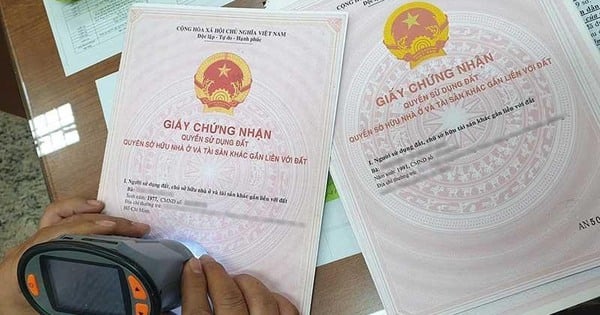 Hướng dẫn xác định nghĩa vụ tài chính về đất đai khi chuyển nhượng quyền sử dụng đất với doanh nghiệp phá sản