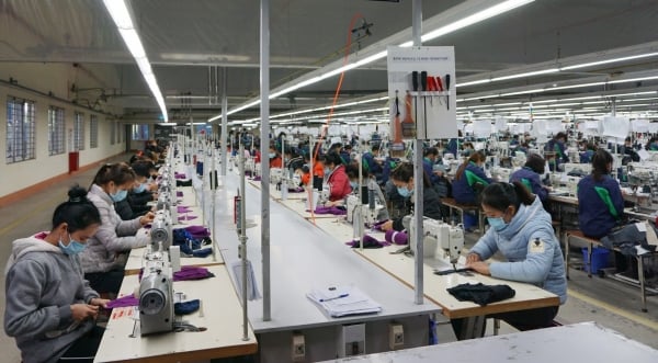Chế độ, điều kiện hoạt động của hòa giải viên lao động năm 2025 (Hình ảnh từ Internet)