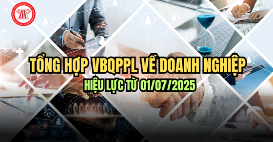 Tổng hợp văn bản pháp luật về doanh nghiệp có hiệu lực từ 01/07/2025