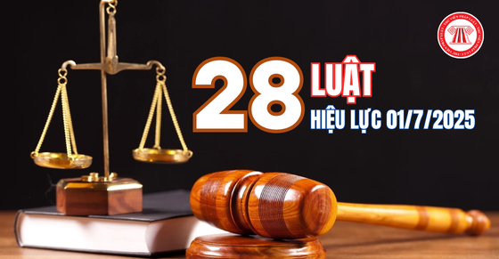 28 Luật có hiệu lực từ ngày 01/7/202