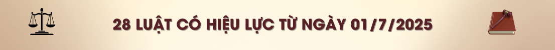 28 Luật có hiệu lực từ ngày 01/7/2025