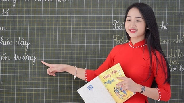 Lương nhà giáo chính thức cao nhất trong hệ thống thang bậc lương từ 01/01/2026 (Hình ảnh từ Internet)