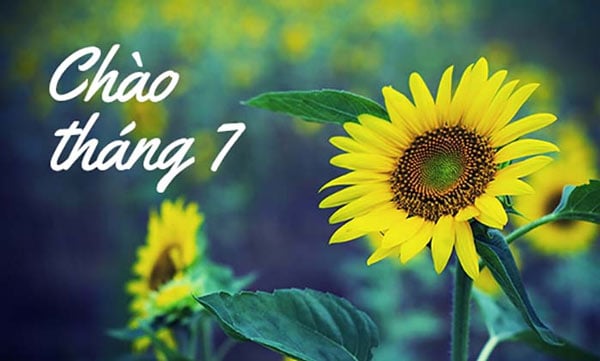 Tổng hợp các ngày lễ và sự kiện trong tháng 7 năm 2025