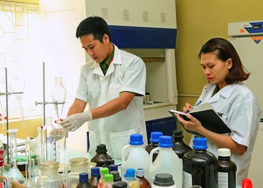 Công nhận người giám định tư pháp theo vụ việc, tổ chức giám định tư pháp theo vụ việc
