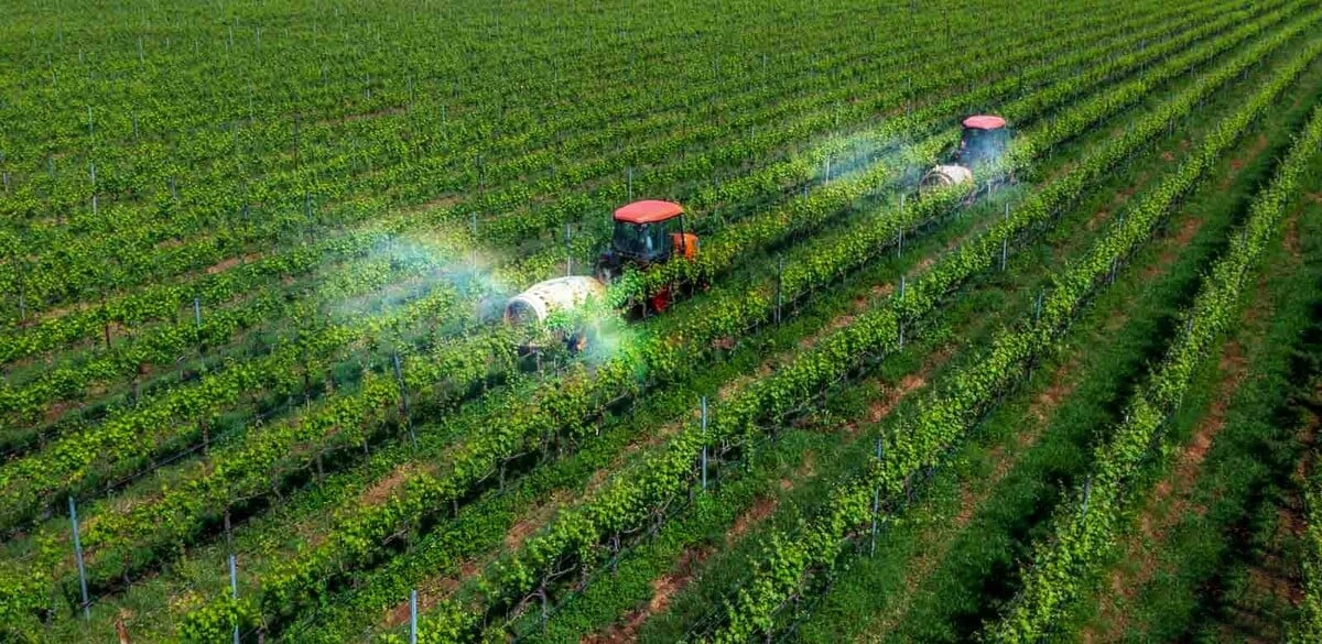 Từ 1/7/2025 tiến hành Tổng điều tra nông thôn nông nghiệp năm 2025 trên cả nước